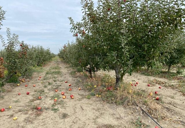 ул Октябрьская Прудовское сельское поселение, Белогорск фото