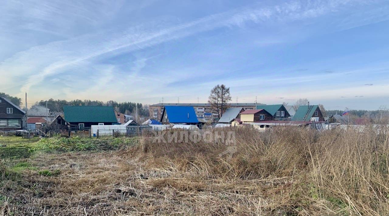 дом р-н Новосибирский п Двуречье ул Пархоменко Барышевский сельсовет фото 6