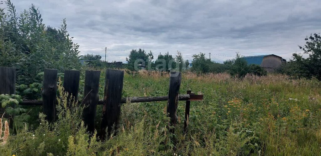 земля р-н Кетовский с Новая Сидоровка днп ДНТ Озёрный фото 2