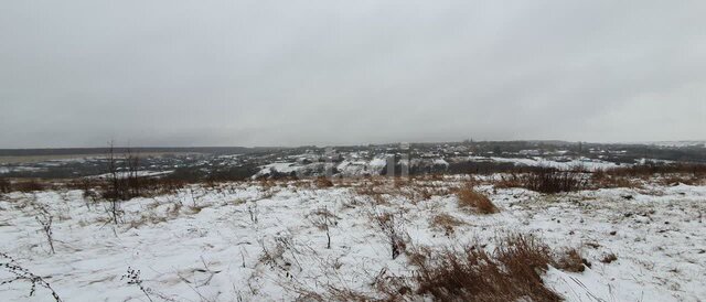 р-н Рамонский с Русская Гвоздевка Русскогвоздёвское сельское поселение, Воронеж фото