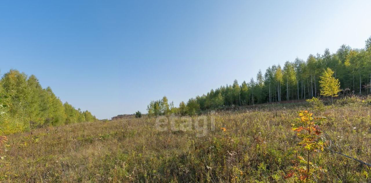 земля р-н Осинский Развилка автодорог Оса-Чернушка-Пермь тер фото 3