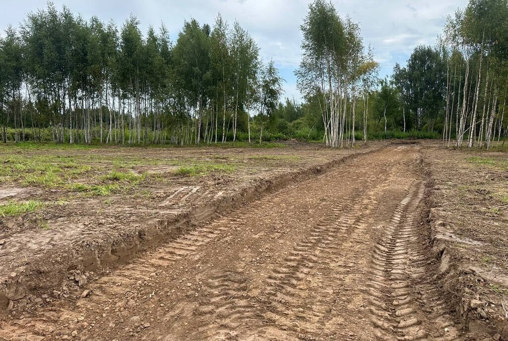 земля городской округ Дмитровский п Кузнецово фото 1