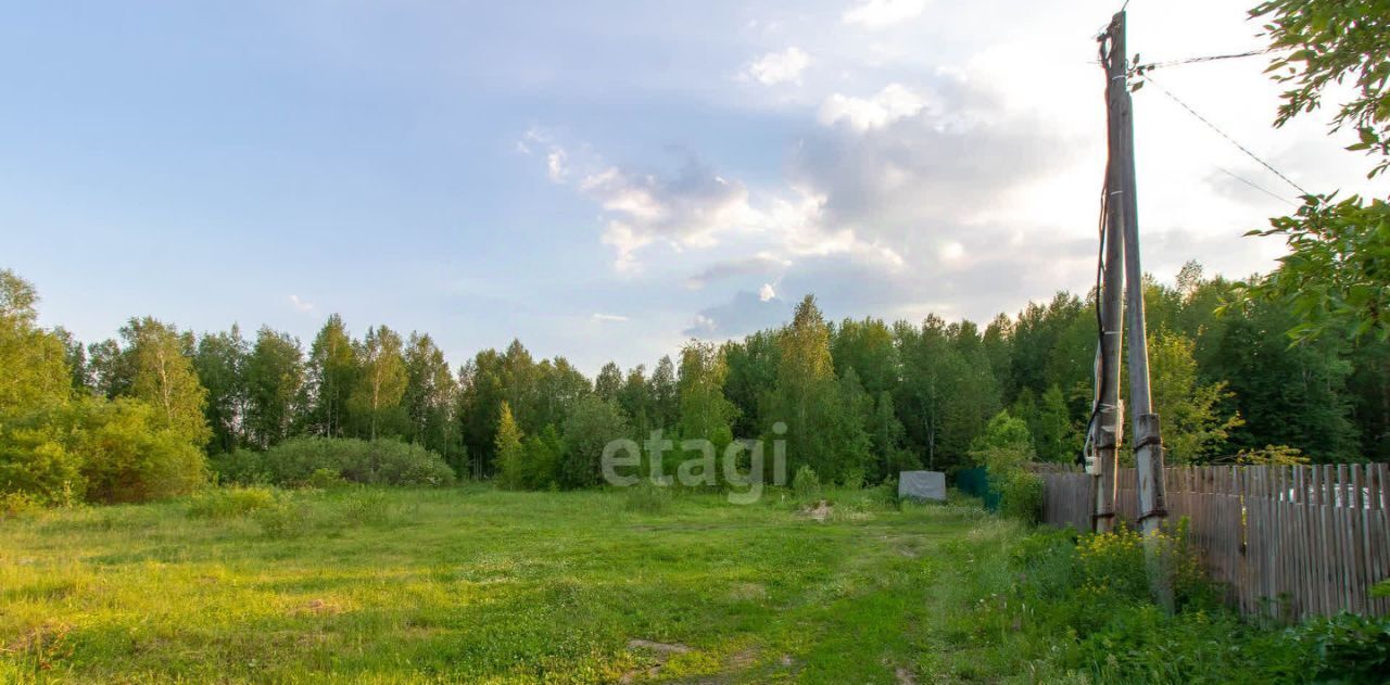 земля р-н Нижнетавдинский снт Сундукуль фото 3