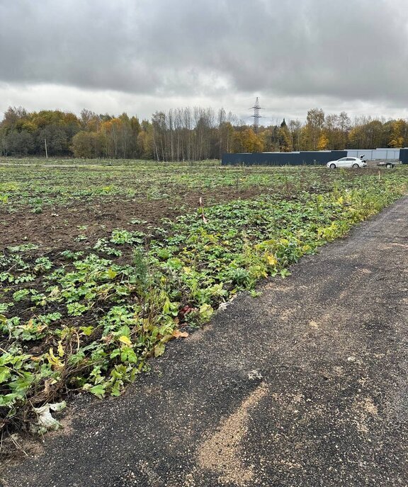 земля городской округ Солнечногорск д Шахматово фото 4