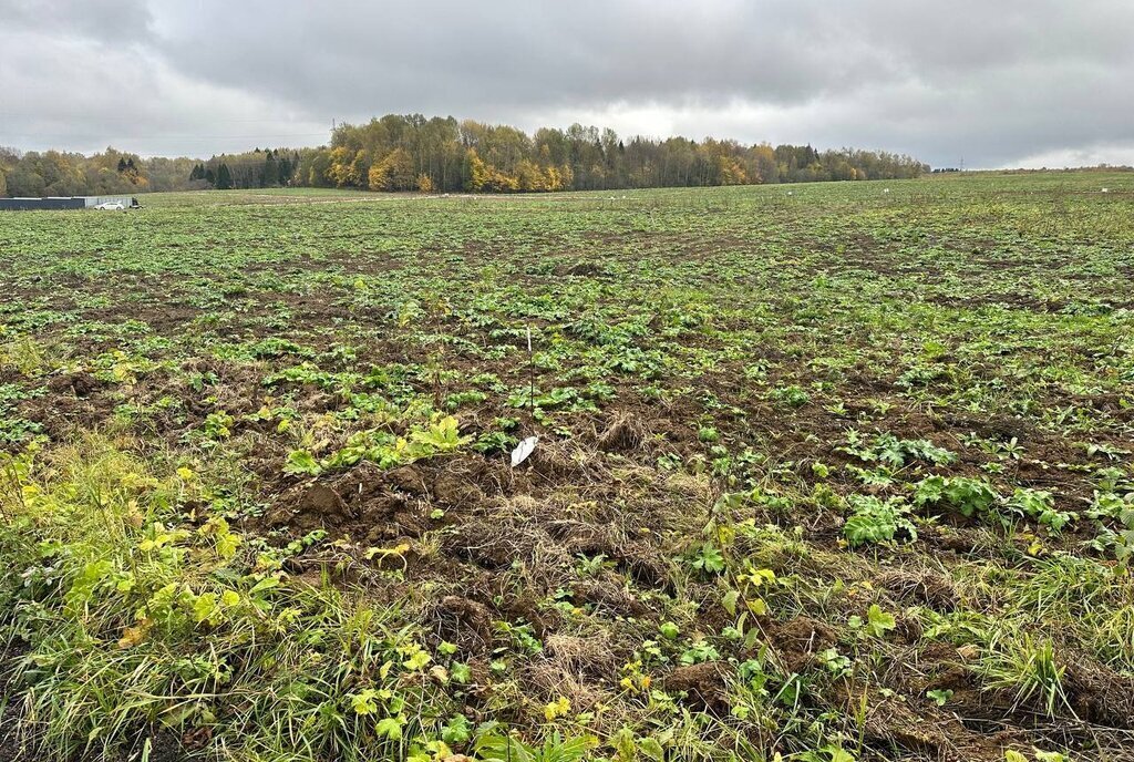 земля городской округ Солнечногорск д Шахматово фото 29