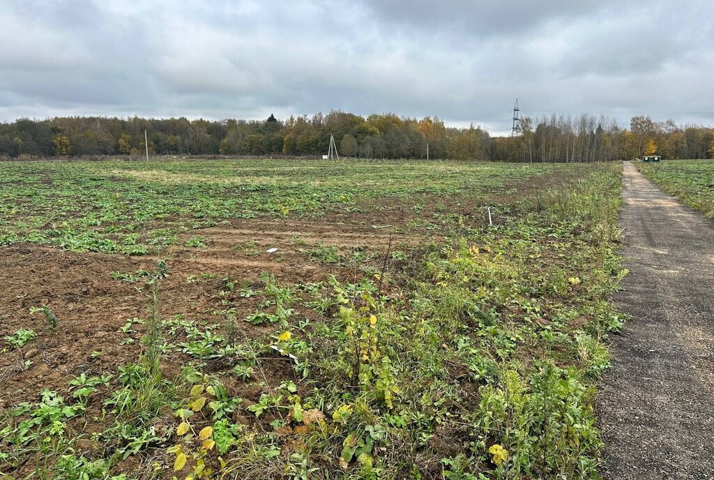 земля городской округ Солнечногорск д Шахматово фото 26