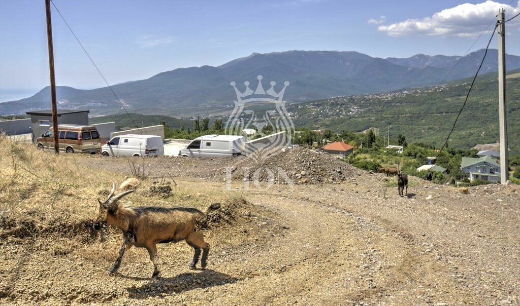 земля г Алушта с Лучистое ул Извилистая фото 18