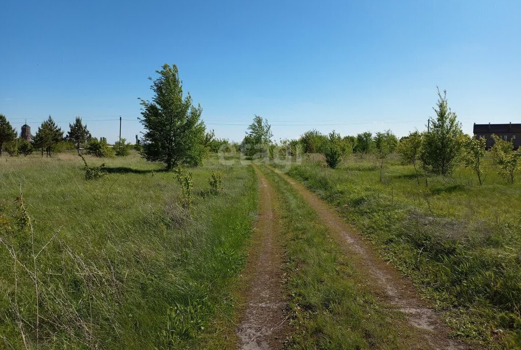 земля р-н Борисоглебский с Чигорак ул Центральная фото 4