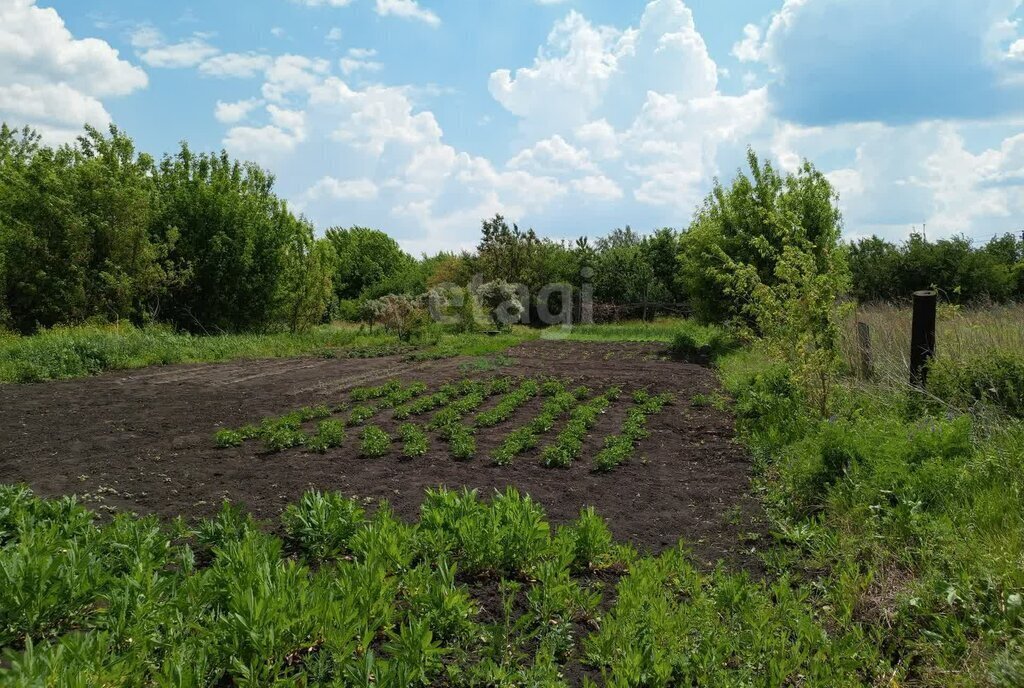 дом р-н Грибановский п Грибановский ул Новостроящая Грибановское городское поселение фото 15