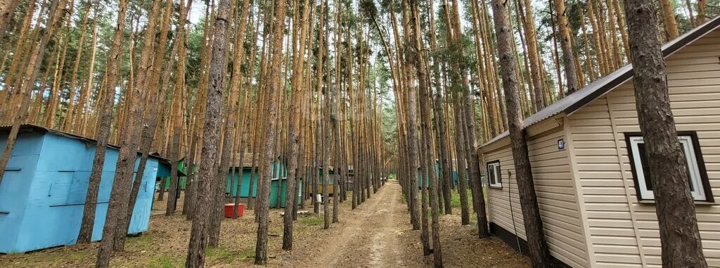 дом р-н Борисоглебский с Чигорак фото 4