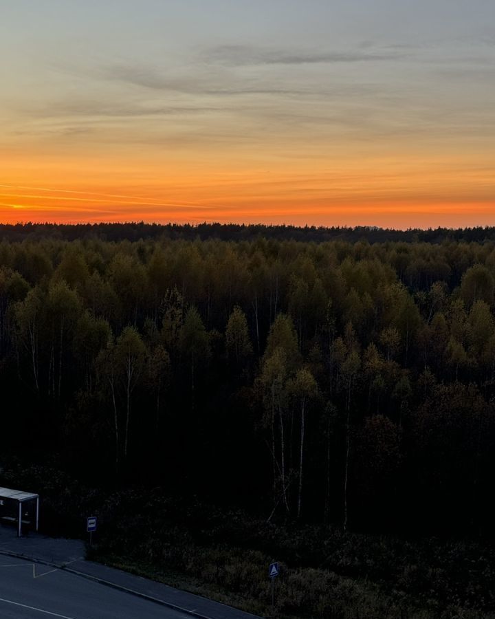 квартира г Раменское ул Семейная 6 ЖК «Десятка» Раменский г. о. фото 11