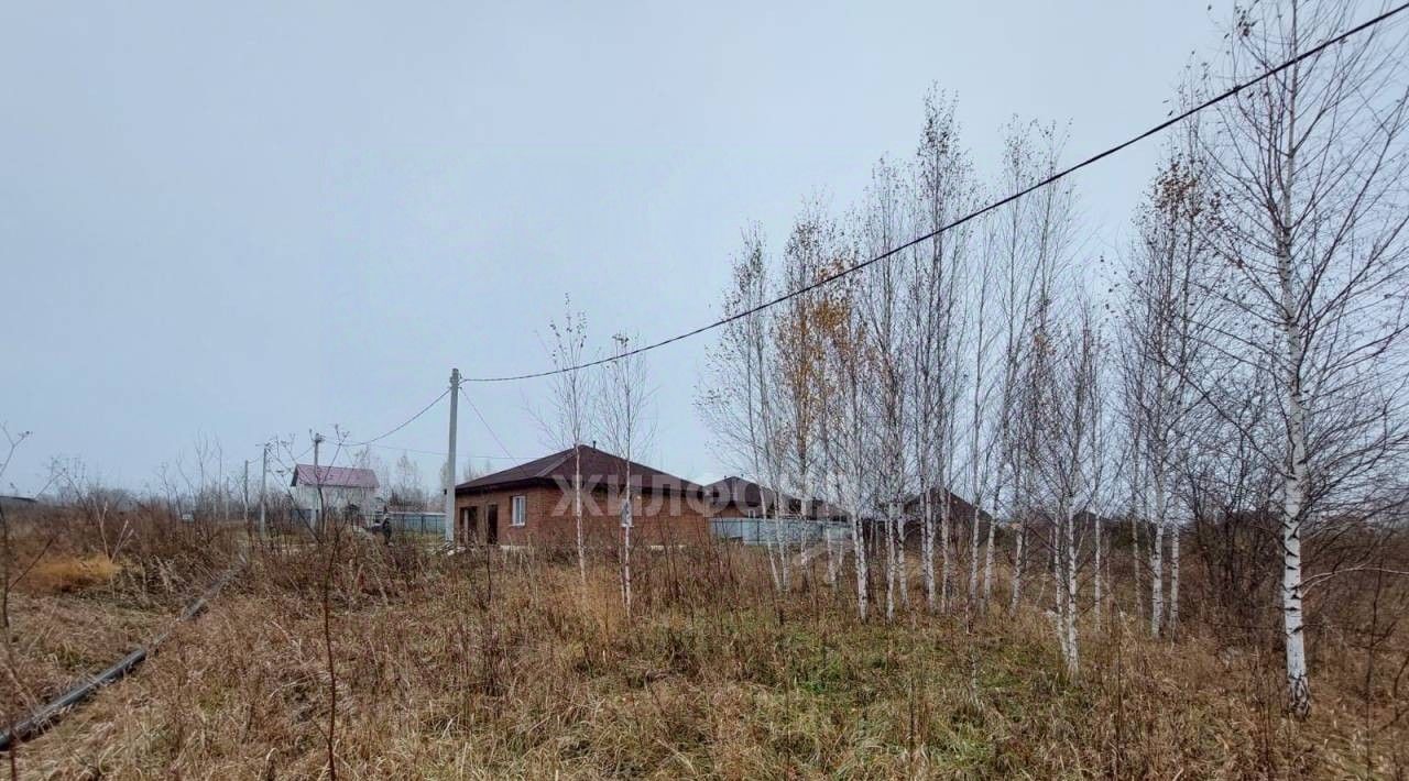 земля р-н Новосибирский п Садовый Станционный сельсовет, ул. Раздольная фото 1