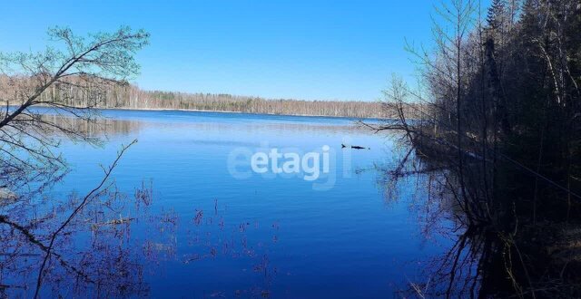 Трасса Скандинавия, 9791 км, Советское городское поселение, коттеджный пос. Новое Дятлово, Каменка фото