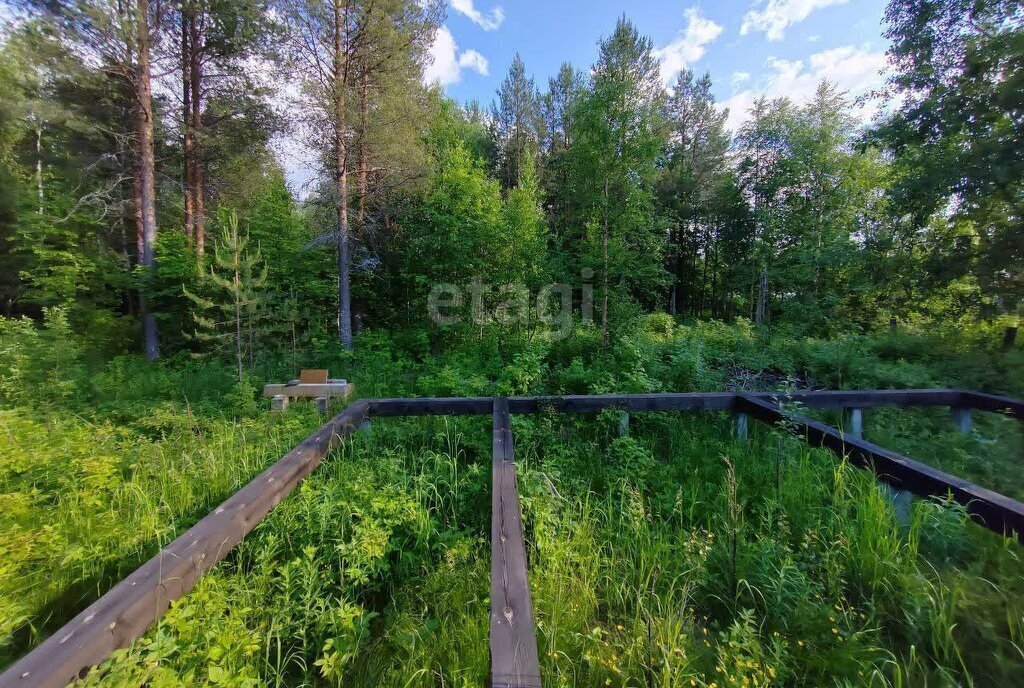 земля г Архангельск р-н Маймаксанский округ снт Ваганиха фото 10