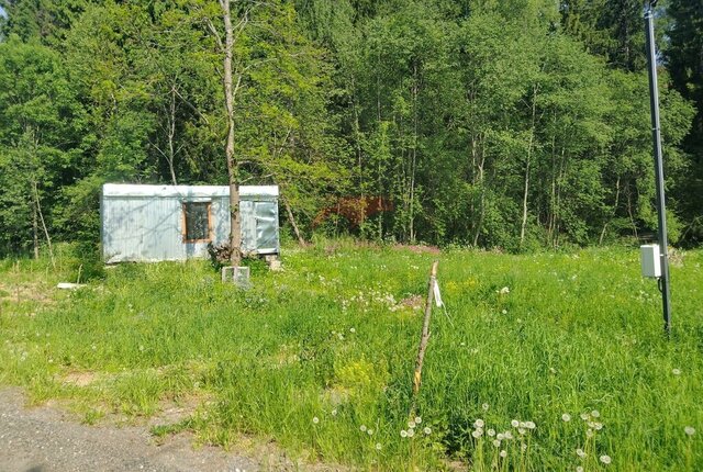 городской округ Клин фото