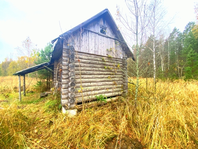 городской округ Шатура д Пруды фото 6