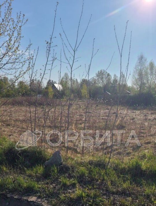 земля г Тюмень р-н Центральный снт Поле чудес Центральный административный округ фото 1