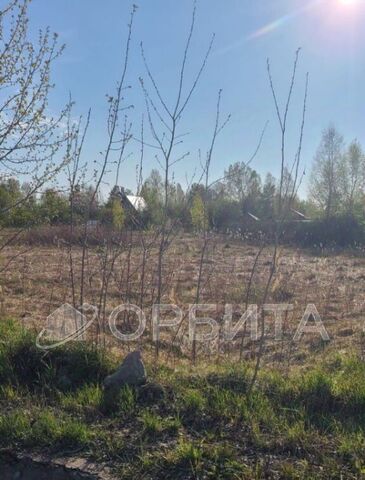 р-н Центральный снт Поле чудес Центральный административный округ фото