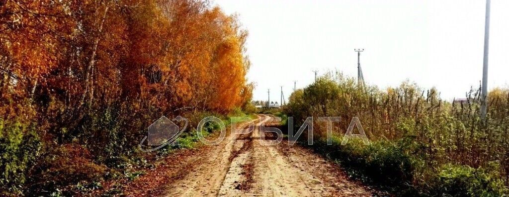 земля г Тюмень р-н Центральный снт Поле чудес ул Тенистая Центральный административный округ фото 2