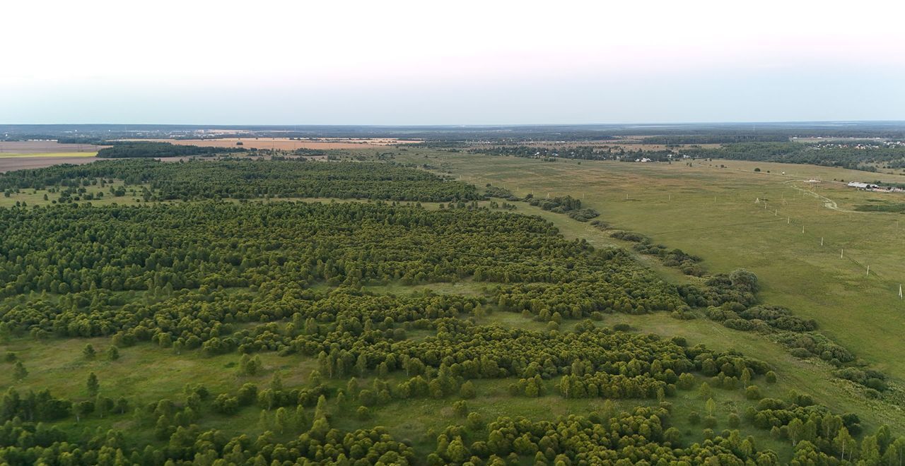 земля городской округ Ступино п Малино 9787 км, г. о. Ступино, Новокаширское шоссе фото 5