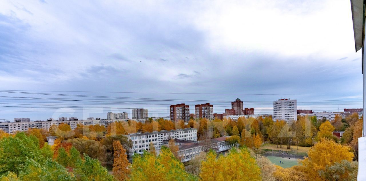 квартира г Санкт-Петербург метро Проспект Просвещения ул Руднева 9к/1 округ № 15 фото 15