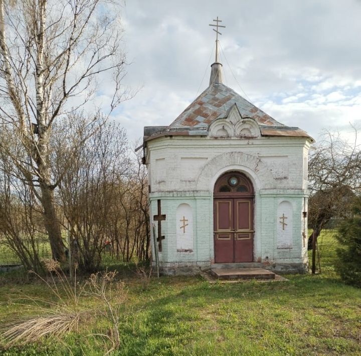 дом р-н Батецкий д Подберезье фото 2