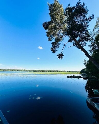 Выборгское шоссе, 42 км, Рощинское городское поселение, СНТ Карелия-1 фото