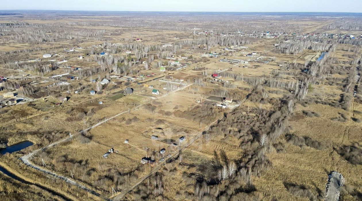 земля г Тюмень р-н Центральный снт Поле чудес пер. Кедровый фото 4