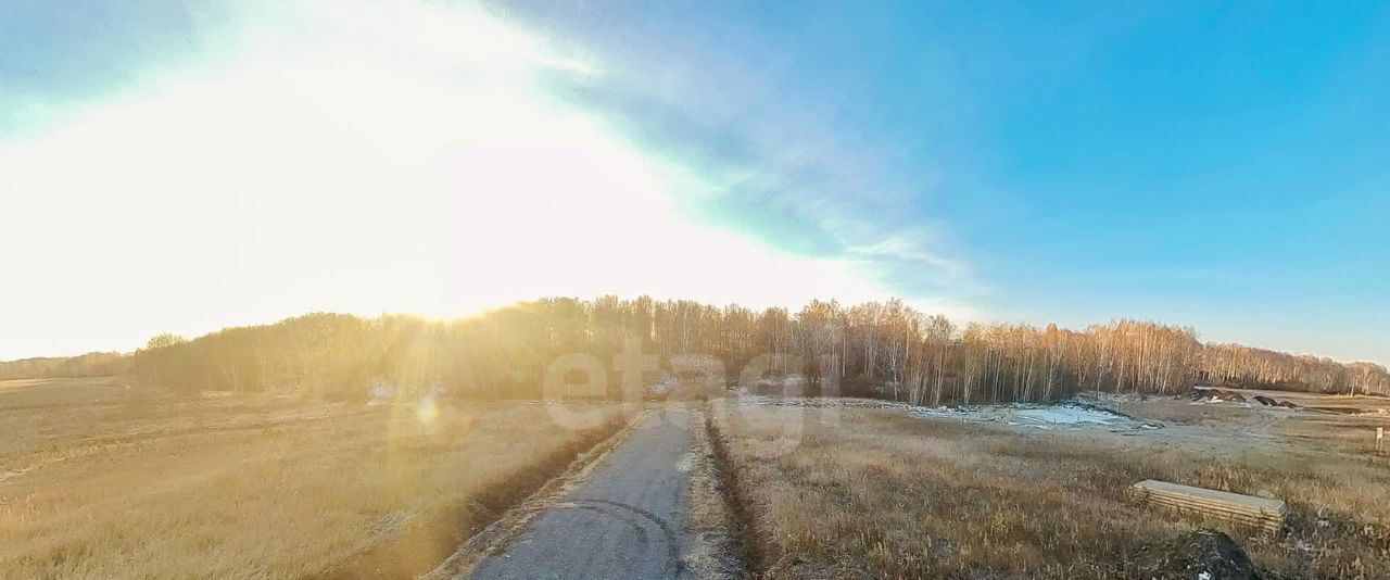 земля р-н Тюменский Онегин кп, ул. Катрин Лог фото 13