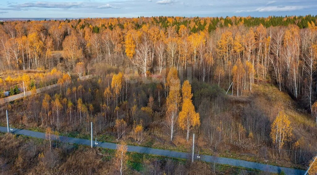 земля городской округ Дмитровский коттеджный посёлок Гармония фото 4