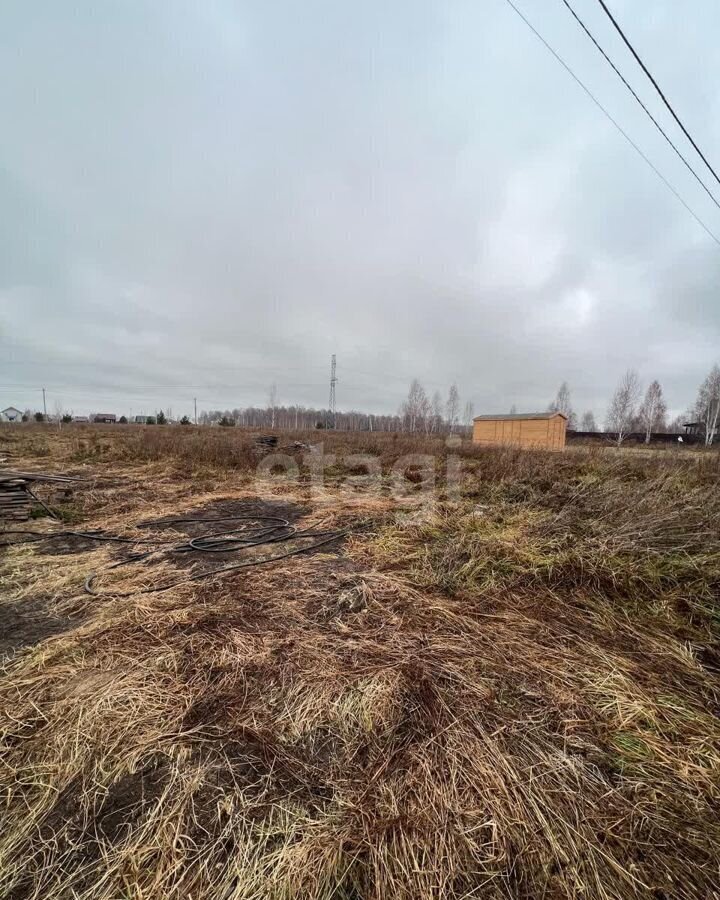 земля р-н Искитимский с Морозово Морозовский сельсовет, Бердск фото 5