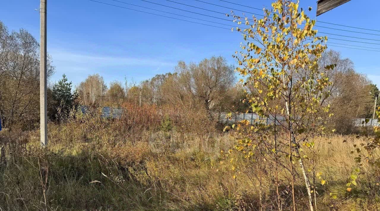 земля городской округ Одинцовский с Жаворонки Литовская деревня кп, Кокошкино фото 16