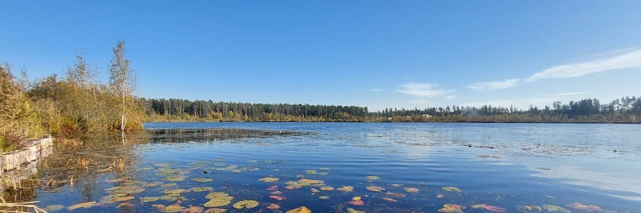 земля городской округ Красногорск д Степановское снт Березка Нахабино, 22/4 фото 8