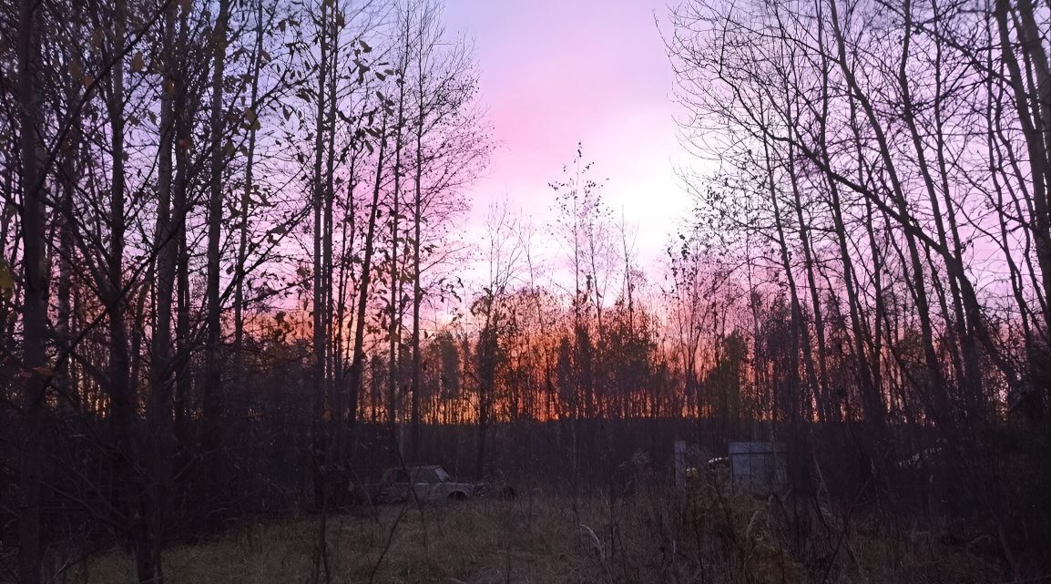 земля городской округ Орехово-Зуевский д Большая Дубна ДНТ Старт-2 фото 3