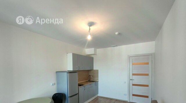 метро Озерки наб Реки Каменки 19к/3 фото