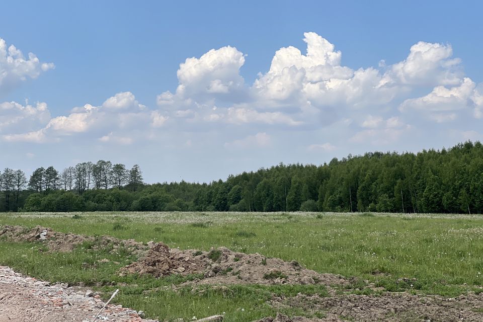 земля городской округ Раменский Бритово фото 6