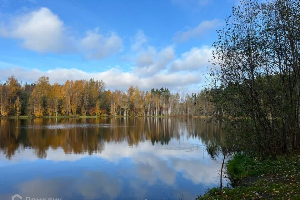 земля р-н Приозерский урочище Громовское фото 1