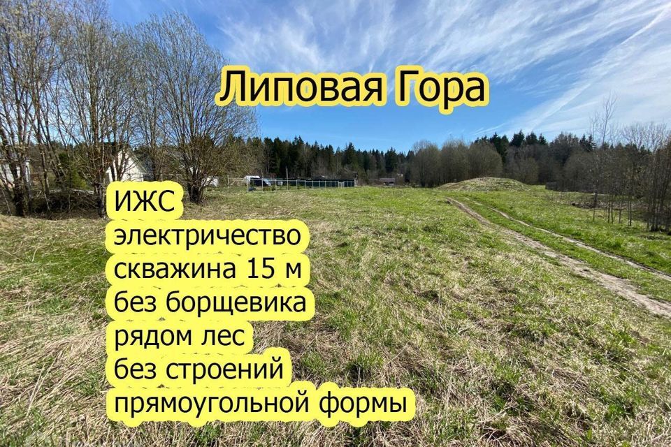 земля р-н Волосовский Липовая Гора фото 4