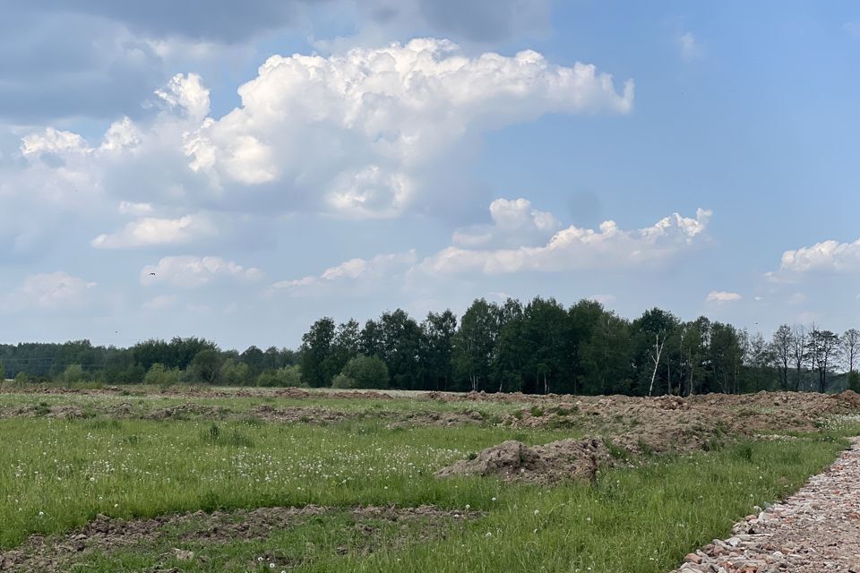 земля городской округ Раменский Васильево фото 10