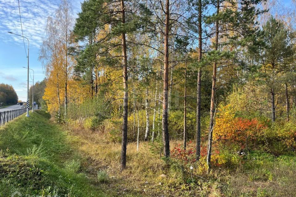 земля р-н Приозерский урочище Громовское фото 10