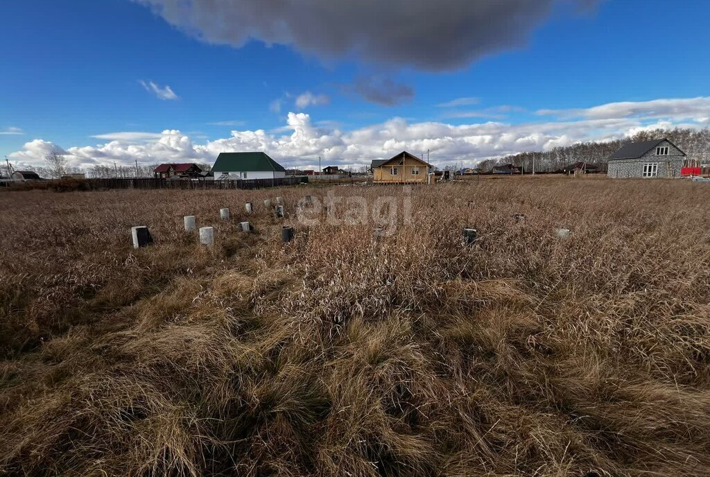 земля р-н Омский с Усть-Заостровка ул Заозерная фото 7