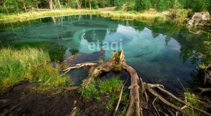 земля г Горно-Алтайск пер Дорожный фото 4