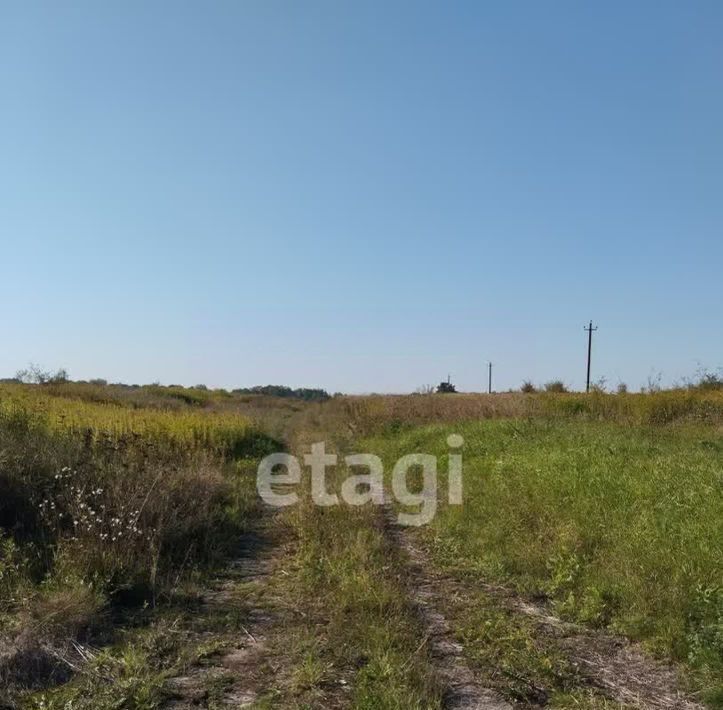 земля р-н Зеленоградский п Сиренево Зеленоградский муниципальный округ фото 1