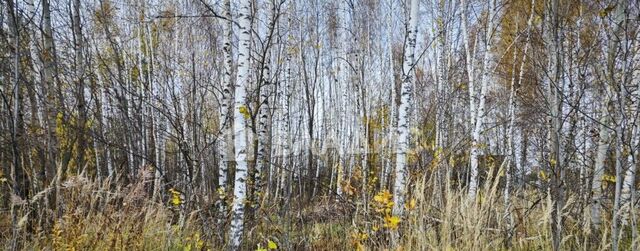 земля р-н Октябрьский ул Лунёвская мкр-н Лунёво фото