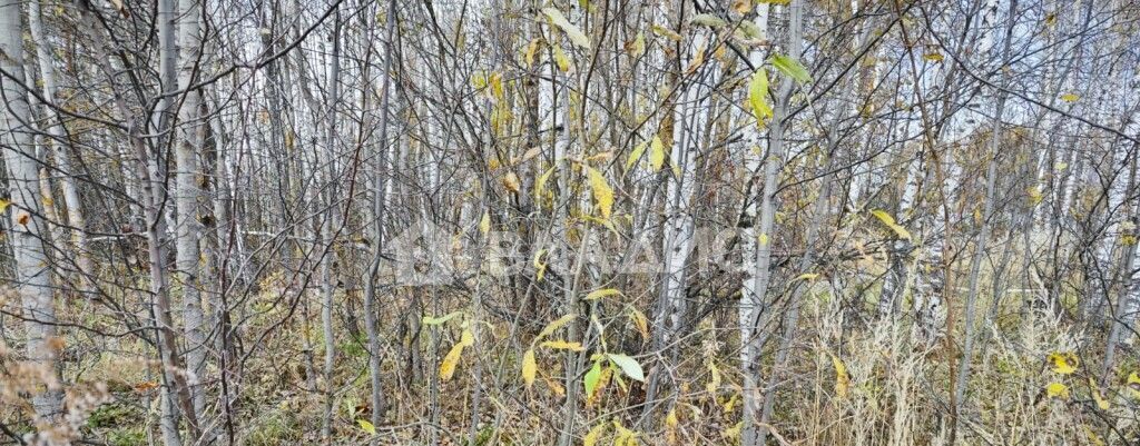 земля г Владимир р-н Октябрьский ул Лунёвская мкр-н Лунёво фото 4