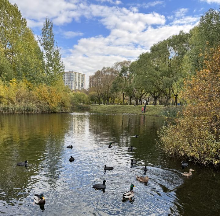 квартира г Санкт-Петербург метро Московская 5-й Предпортовый проезд, 8к 1 фото 21