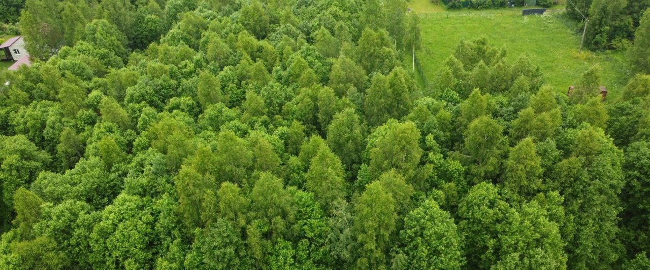 офис городской округ Волоколамский д Юрьево фото 2