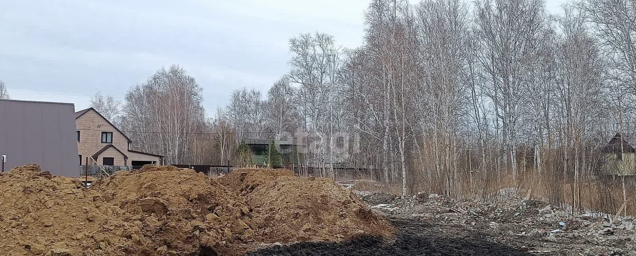 земля г Тюмень р-н Центральный снт Надежда-2 ул Зеленая фото 4