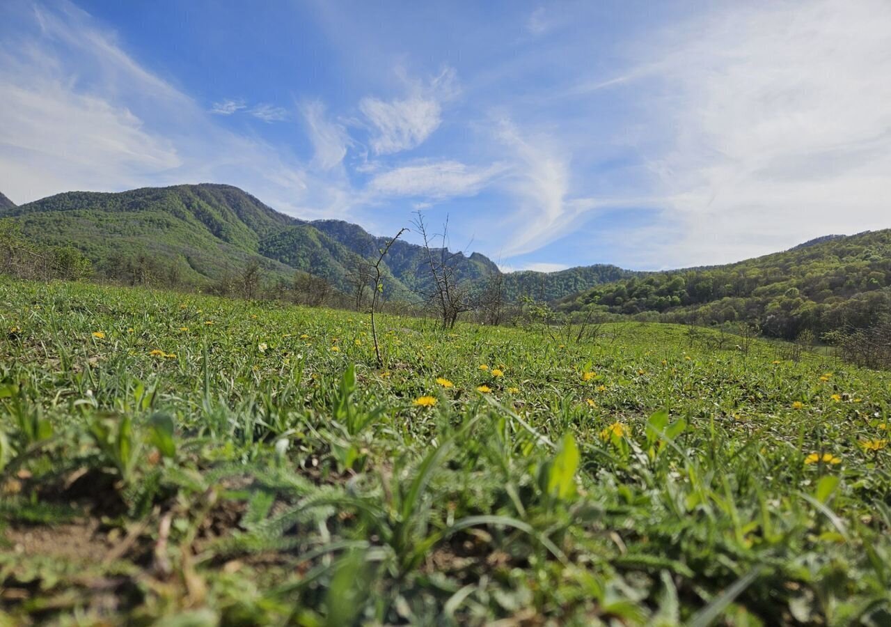 земля р-н Майкопский п Каменномостский Даховское сельское поселение фото 6