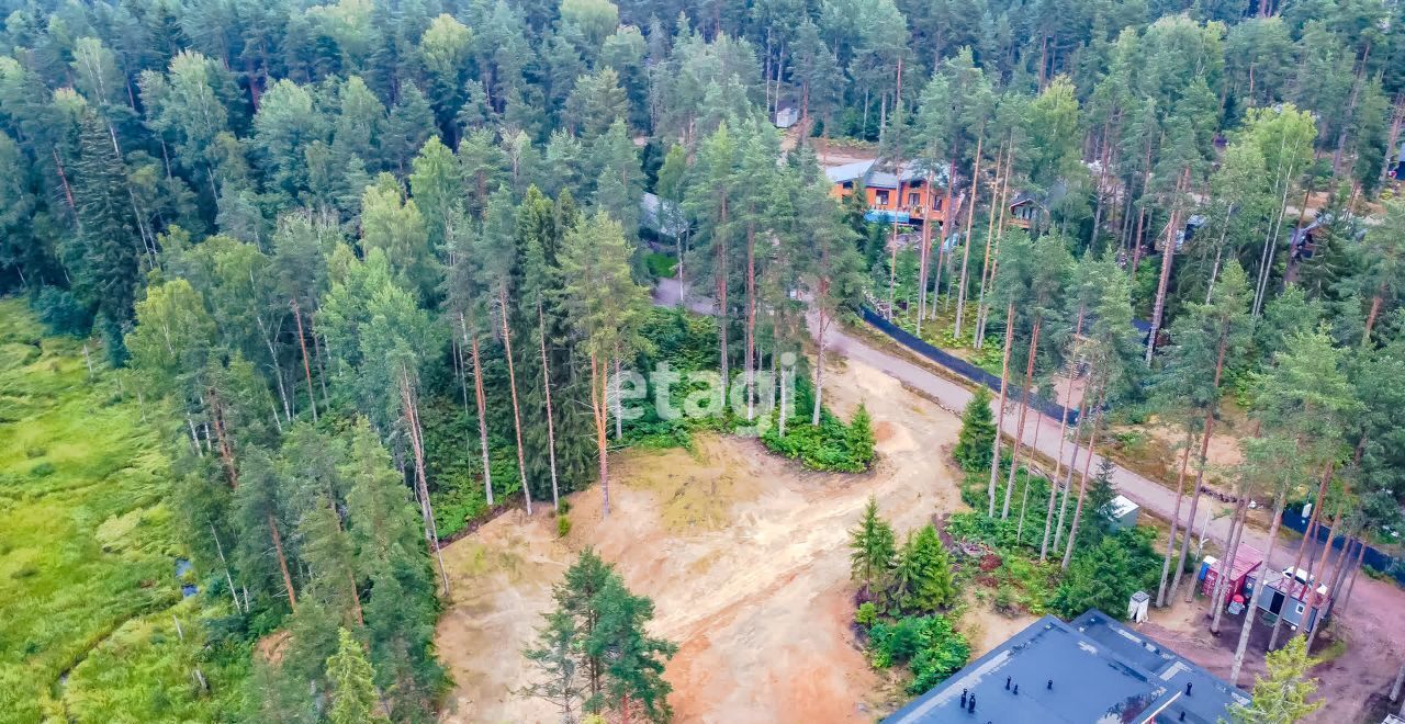 земля р-н Всеволожский днп Парковое 2 Приозерское шоссе, 9752 км, Куйвозовское сельское поселение, Лисички, Васкелово фото 12